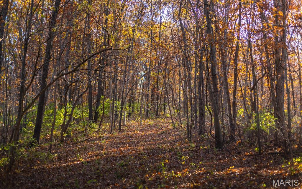 Tbd Southwest Tbd Sw 875th Street Carrollton, IL 62016 - Photo 44 of 45