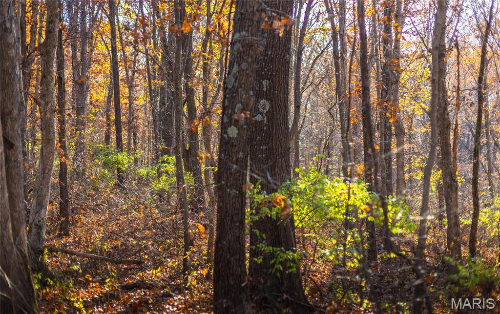 Tbd Southwest Tbd Sw 875th Street Carrollton, IL 62016 - Photo 45 of 45