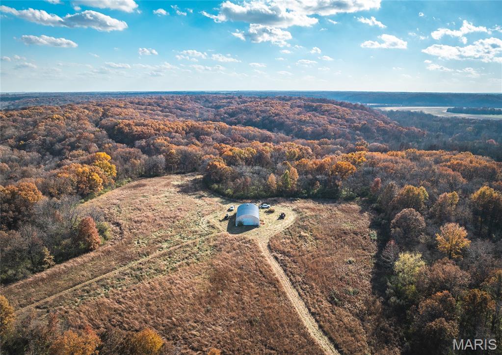 Tbd Southwest Tbd Sw 875th Street Carrollton, IL 62016 - Photo 5 of 45