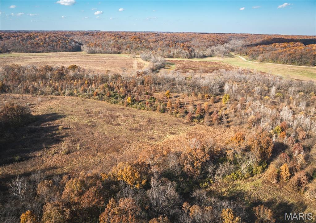 Tbd Southwest Tbd Sw 875th Street Carrollton, IL 62016 - Photo 7 of 45