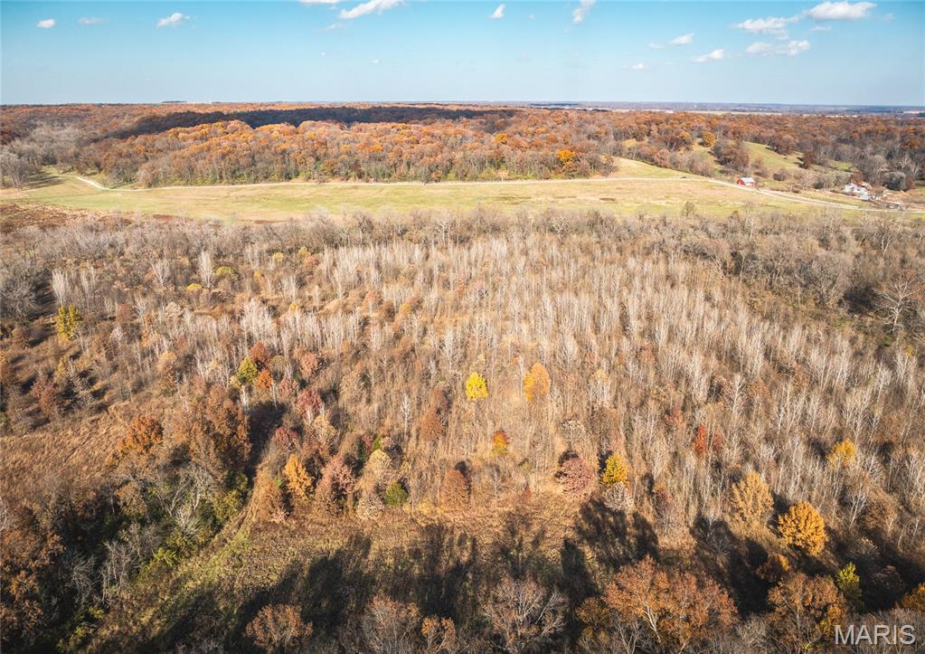 Tbd Southwest Tbd Sw 875th Street Carrollton, IL 62016 - Photo 8 of 45