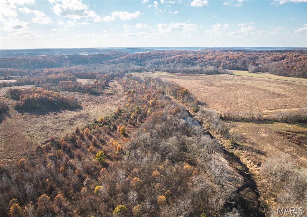 Tbd Southwest Tbd Sw 875th Street Carrollton, IL 62016 - Photo 9 of 45