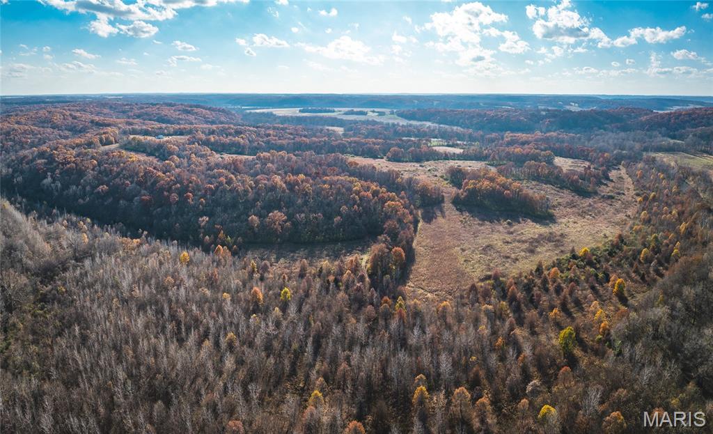 Tbd Southwest Tbd Sw 875th Street Carrollton, IL 62016 - Photo 10 of 45