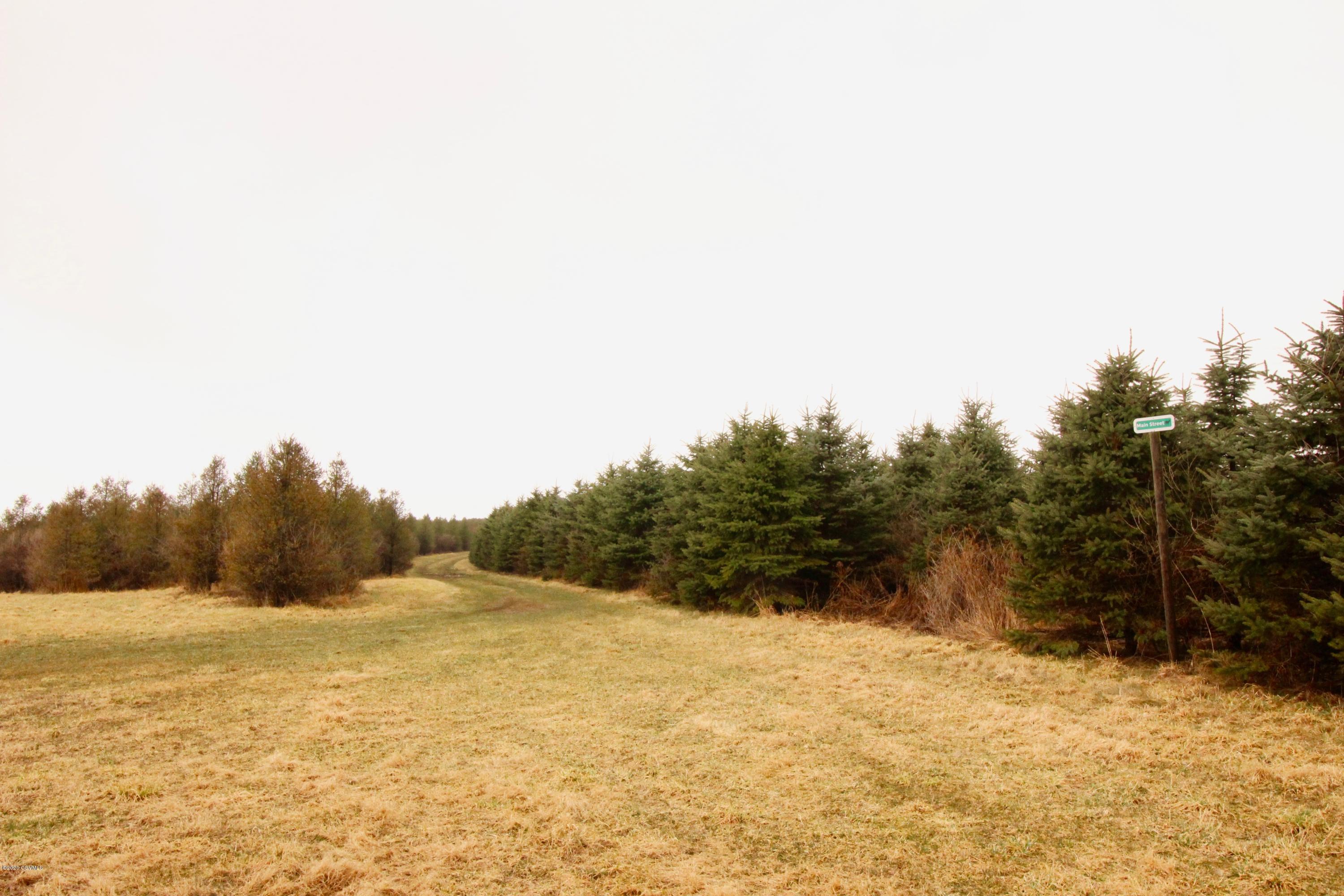 151 Elmdale Road Benton, PA 17814 - Photo 6 of 25 a view of mountain view with trees