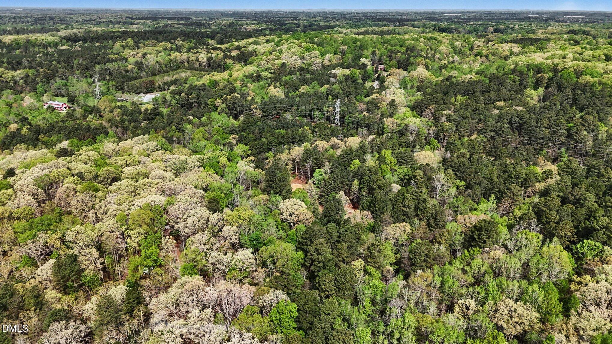 Tbd Elg Road Efland, NC 27243 - Photo 17 of 18 010_file_2277