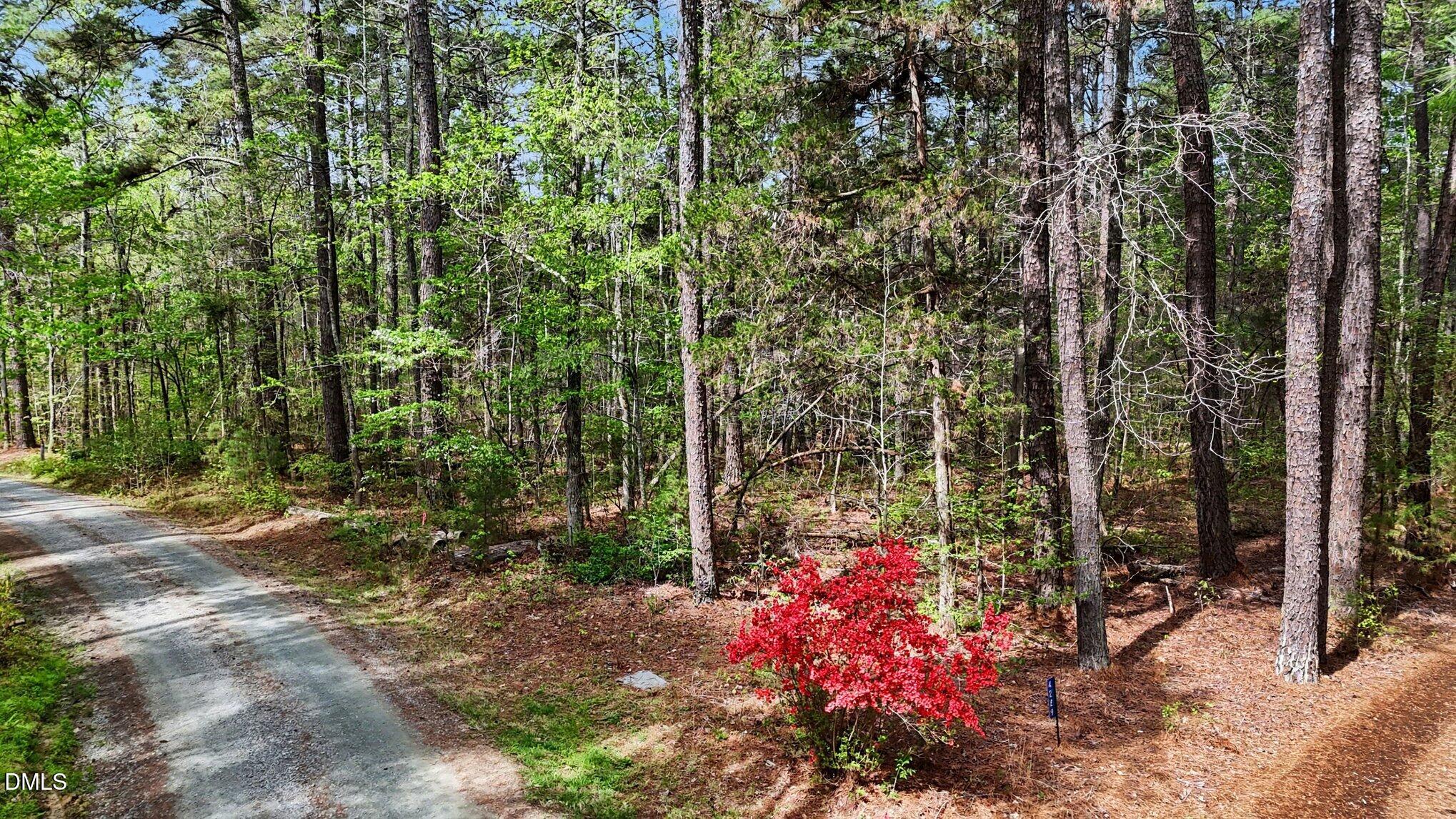 Tbd Elg Road Efland, NC 27243 - Photo 2 of 18 002_file_5970