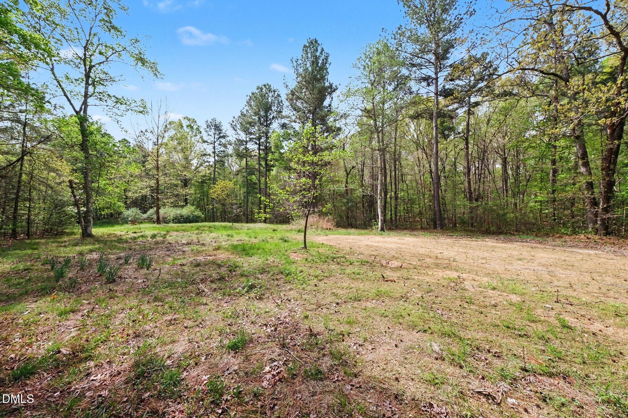 Tbd Elg Road Efland, NC 27243 - Photo 3 of 18 004_file_9674