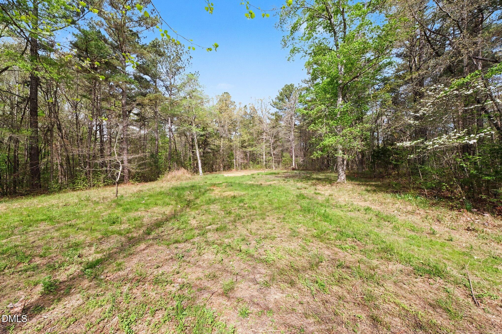 Tbd Elg Road Efland, NC 27243 - Photo 4 of 18 005_file_4800