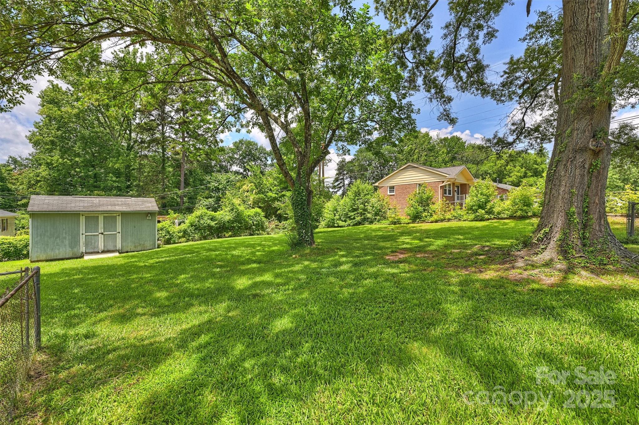 3729 Woodleaf Road Charlotte, NC 28205 - Photo 19 of 23 a view of a backyard with large trees