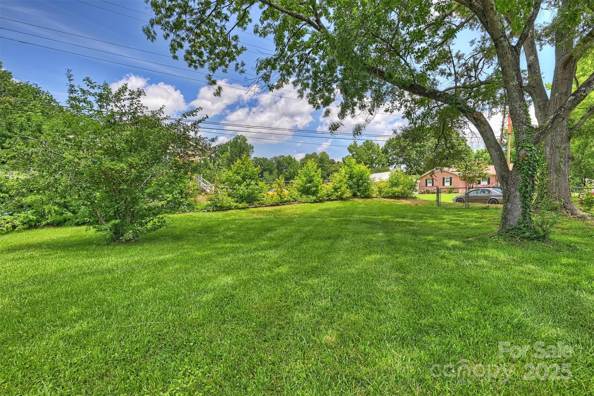 3729 Woodleaf Road Charlotte, NC 28205 - Photo 23 of 23 a view of a garden with a tree