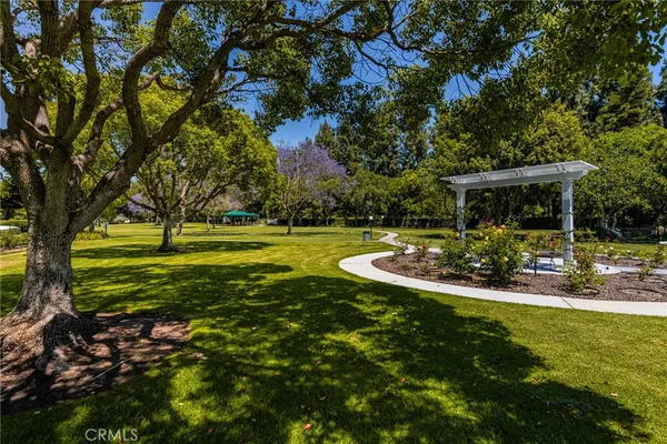 a view of a park with large trees