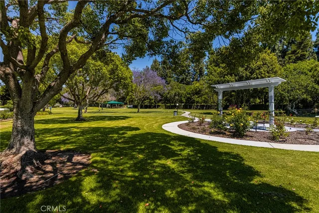 a view of a park with large trees