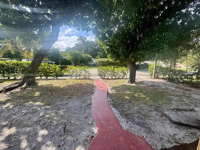 a view of a yard with plants and trees