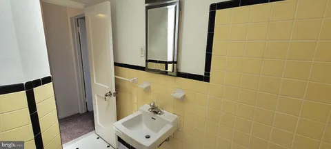 a view of a backyard with potted plants and large tree