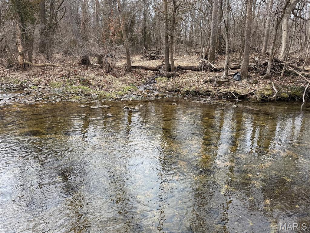 3 Jackal Road Potosi, MO 63664 - Photo 3 of 11