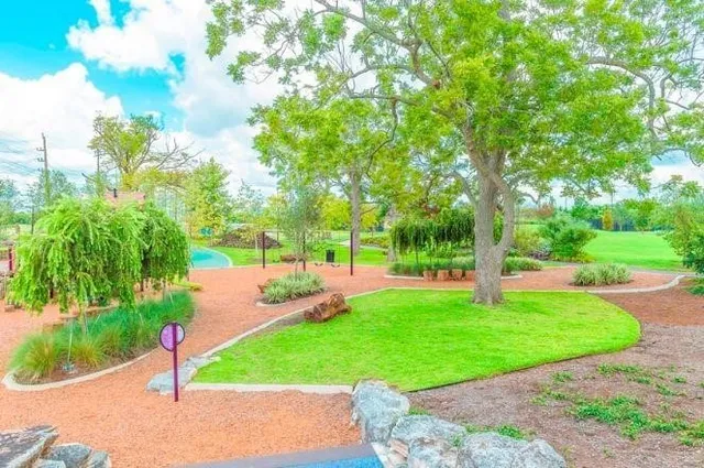 a view of a park with large trees