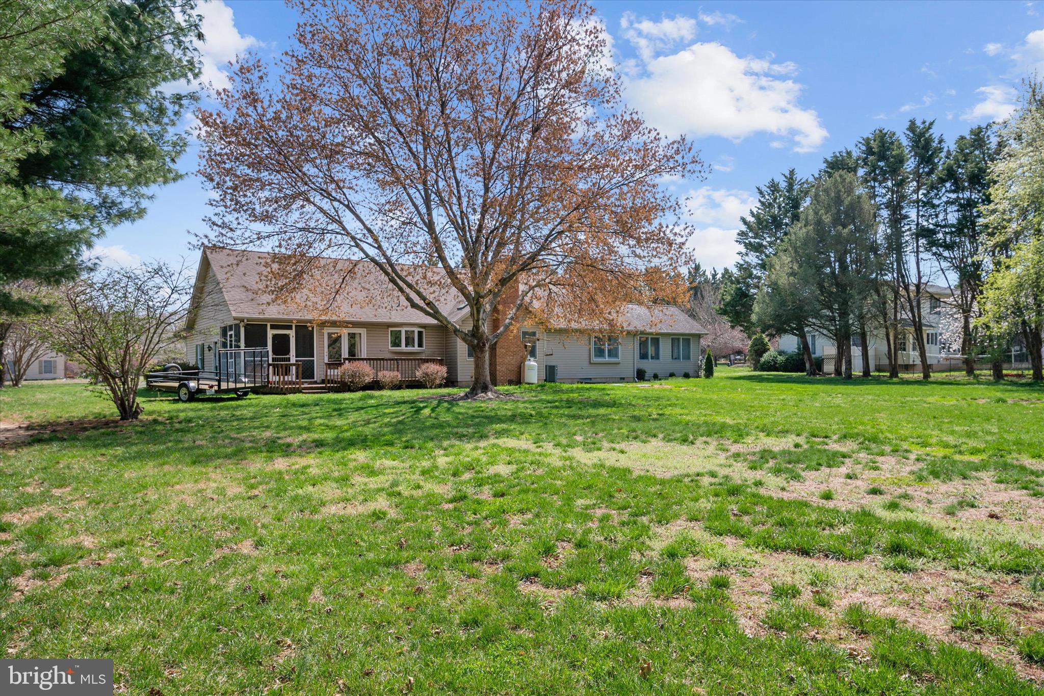 704 Truslow Road Chestertown, MD 21620 - Photo 26 of 43 Backyard