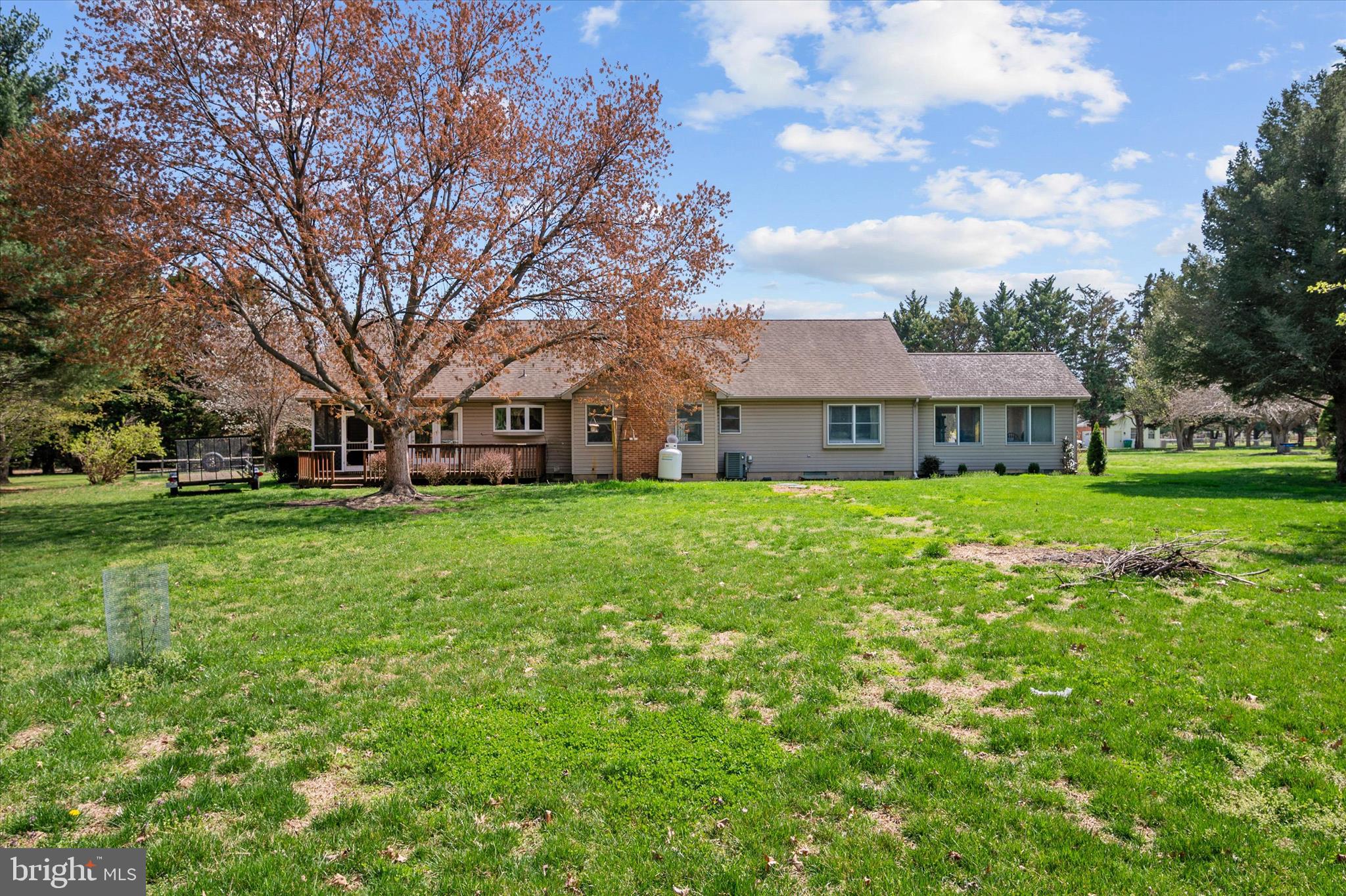 704 Truslow Road Chestertown, MD 21620 - Photo 28 of 43 Backyard