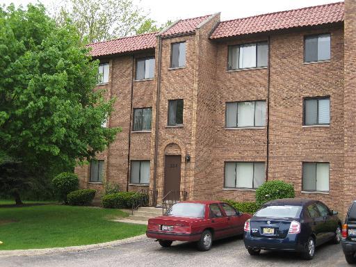 224 East Rimini Court Palatine, IL 60067 - Photo 1 of 1 a car parked in front of a brick house