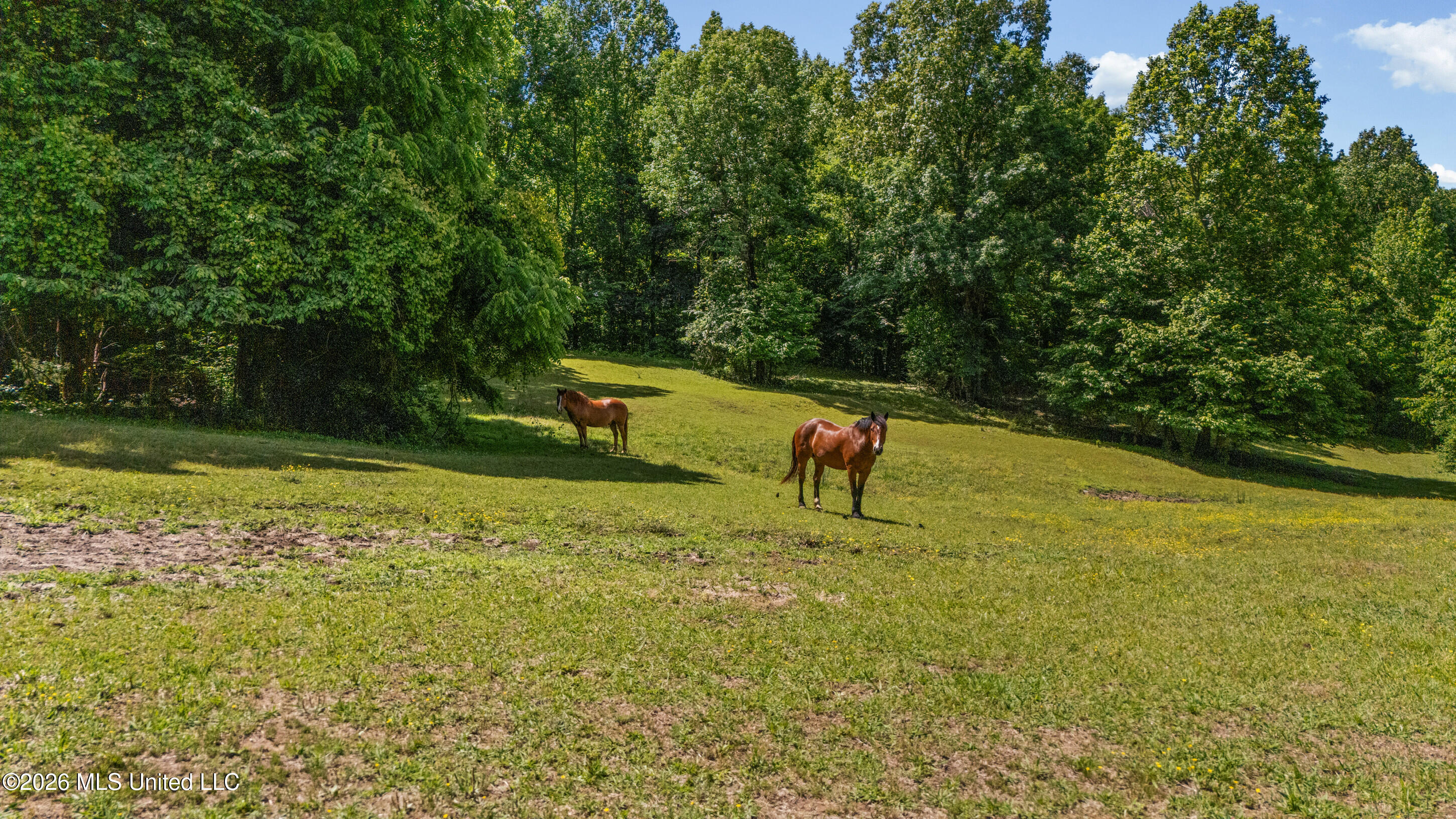 227 Christian College Road Senatobia, MS 38668 - Photo 22 of 59 23_dji_20260507112742_0071_d_print