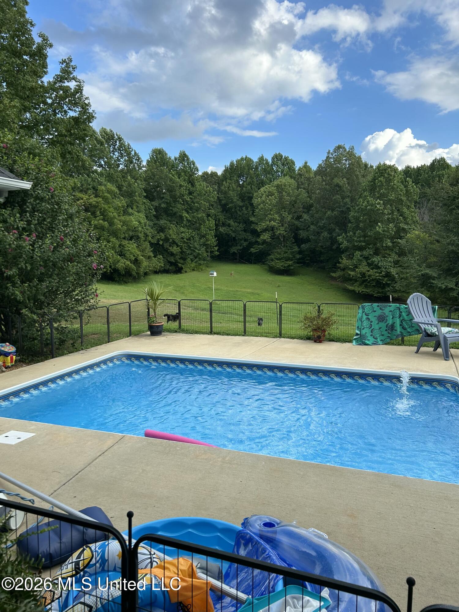 227 Christian College Road Senatobia, MS 38668 - Photo 46 of 59 Christian College Rd pool