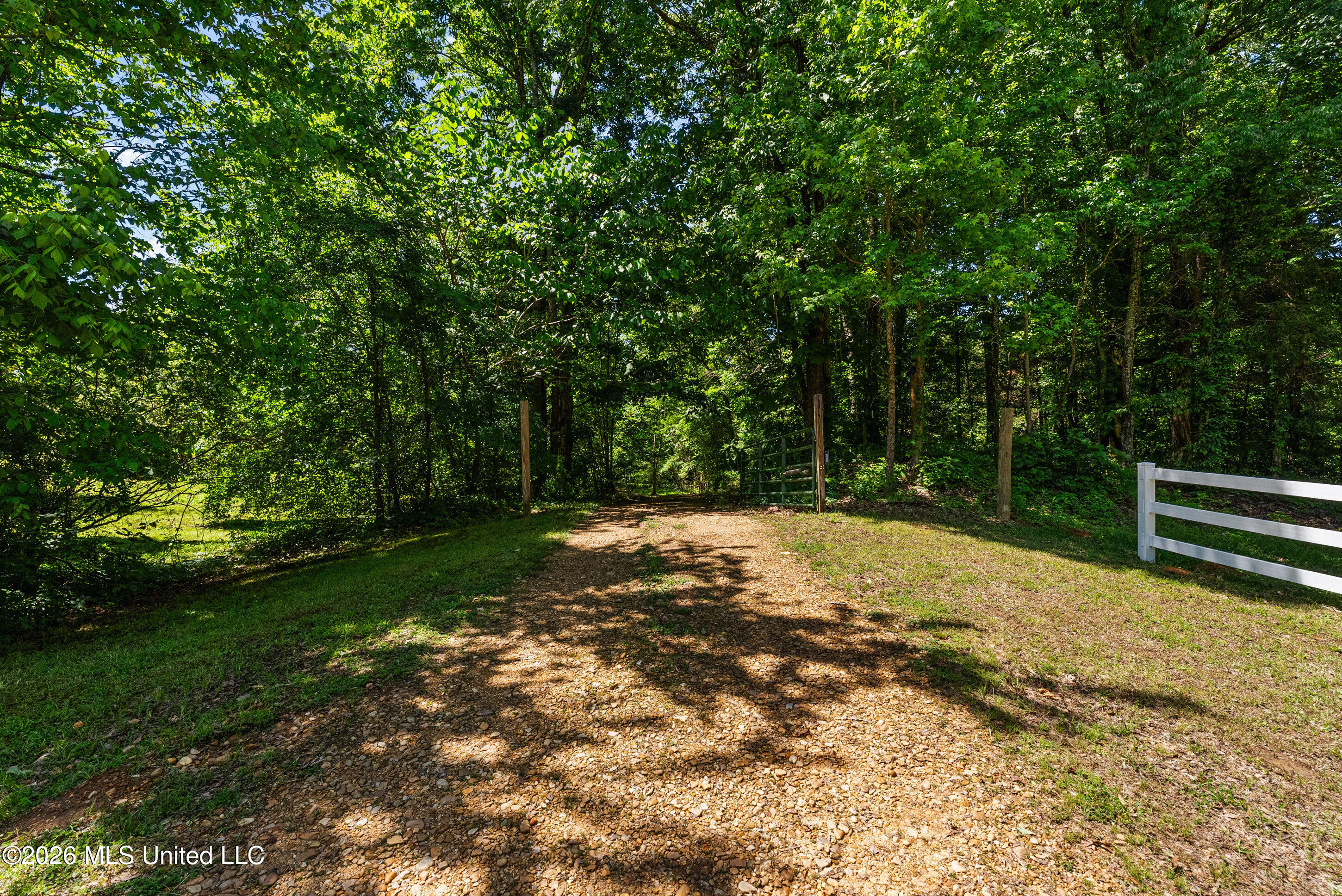 227 Christian College Road Senatobia, MS 38668 - Photo 55 of 59 54_dsc05863_print