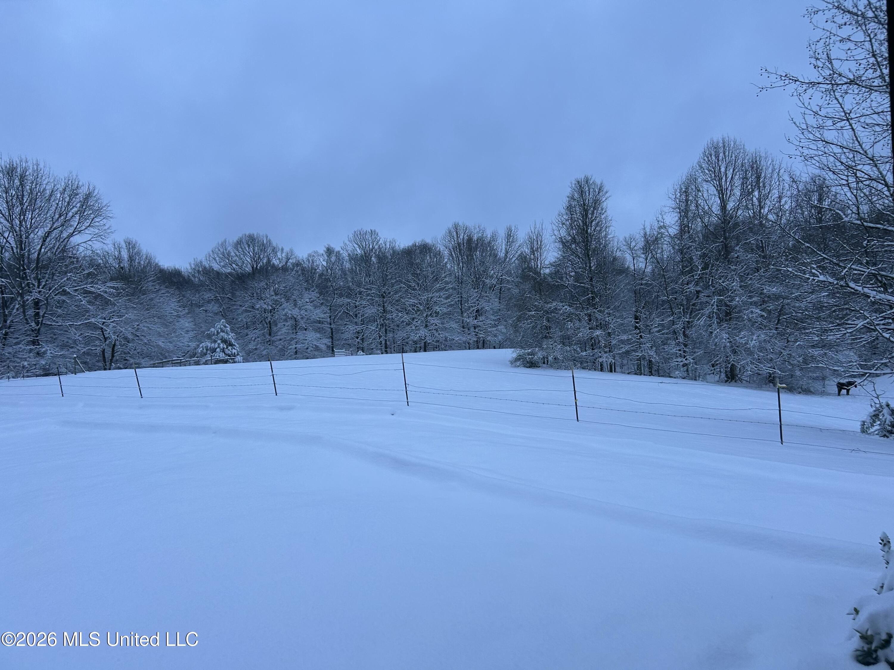 227 Christian College Road Senatobia, MS 38668 - Photo 57 of 59 Christian College pics of snow jpg