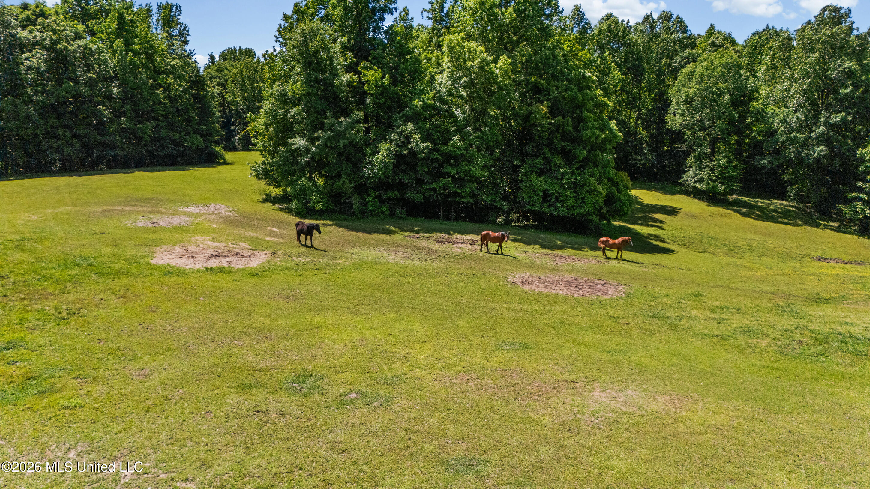 227 Christian College Road Senatobia, MS 38668 - Photo 9 of 59 5_dji_20260507111423_0002_d_print