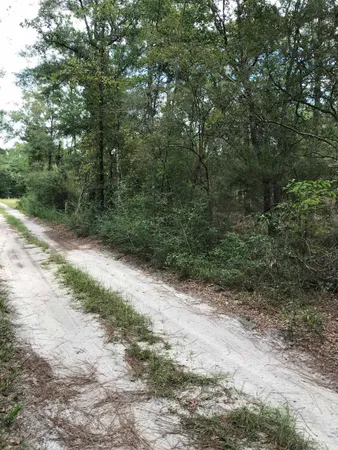 $80,000 | 0 Andrew Spears Road, Crawfordville, FL 32327