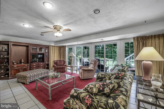 a green field with trees in the background