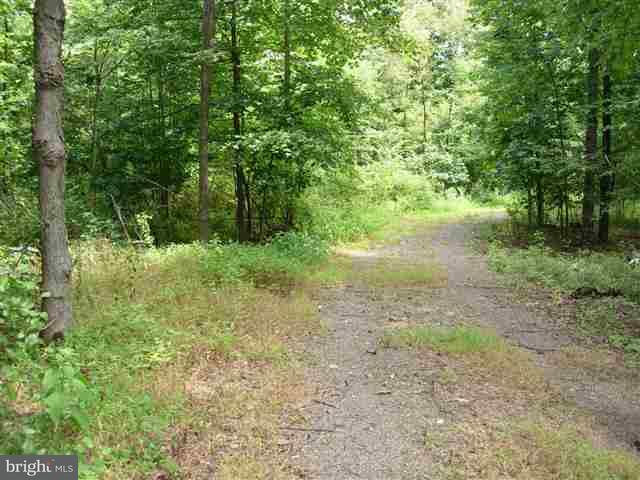 0 Pipeline Road Newville, PA 17241 - Photo 1 of 7 Gallery Image 1