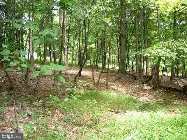 0 Pipeline Road Newville, PA 17241 - Photo 2 of 7 Gallery Image 2