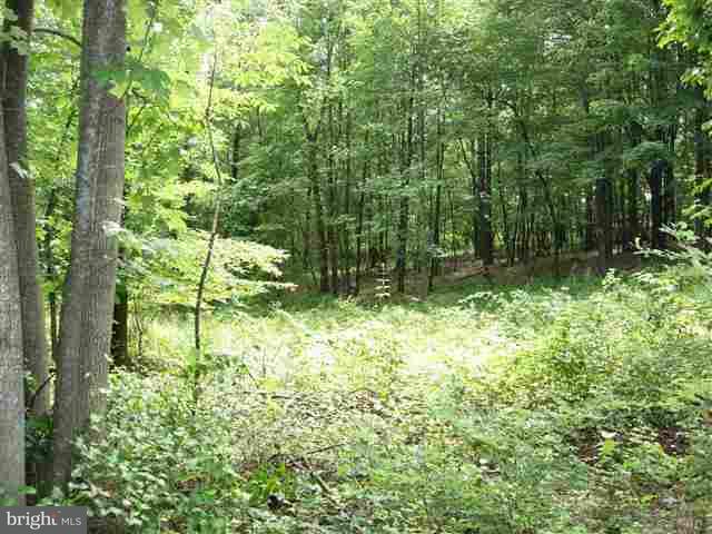 0 Pipeline Road Newville, PA 17241 - Photo 3 of 7 Gallery Image 3