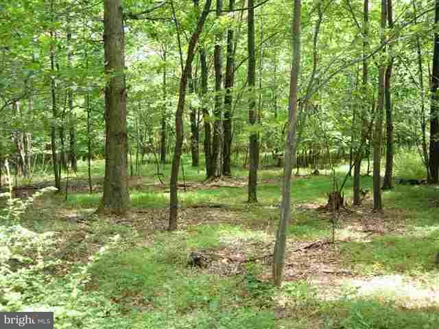 0 Pipeline Road Newville, PA 17241 - Photo 4 of 7 Gallery Image 4
