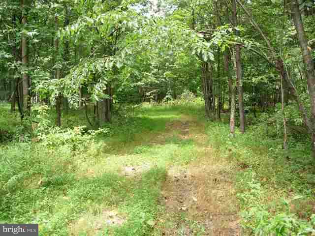 0 Pipeline Road Newville, PA 17241 - Photo 6 of 7 Gallery Image 6