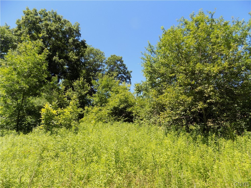 7760 Ny Route 79 Road Whitney Point, NY 13862 - Photo 11 of 23