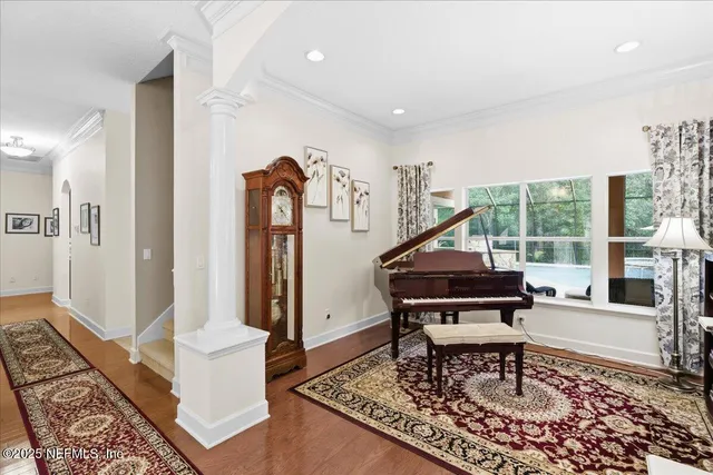 a living room with furniture a rug and a potted plant