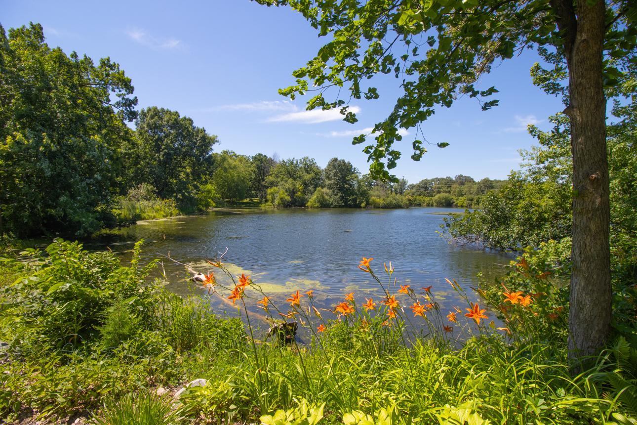 1366 Wilderness Run Drive Eagan, MN 55123 - Photo 55 of 63