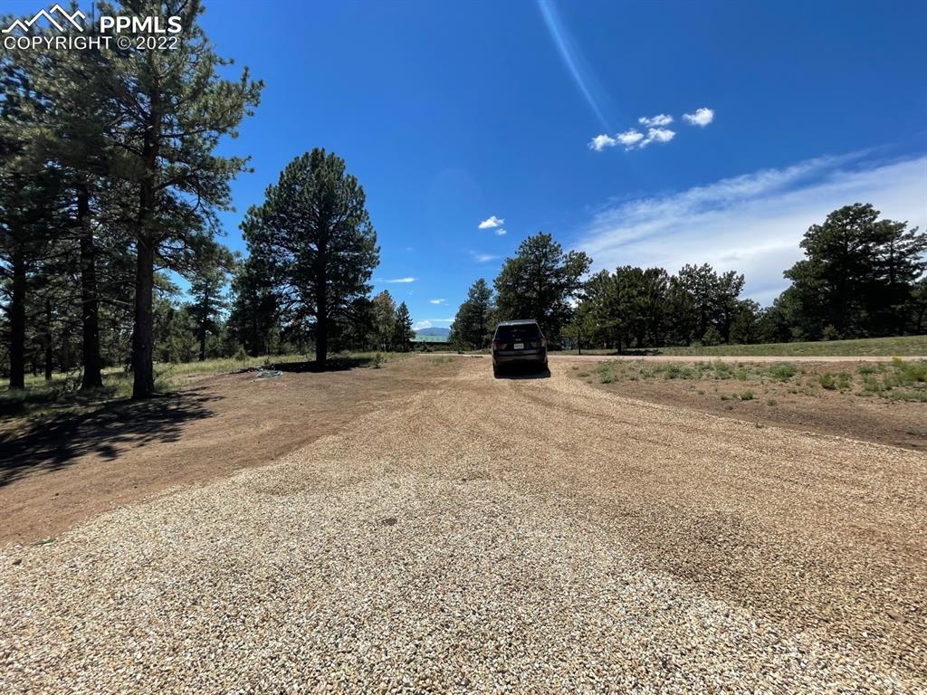 188 Keepsake Loop Westcliffe, CO 81252 - Photo 37 of 37 a view of outdoor space with trees