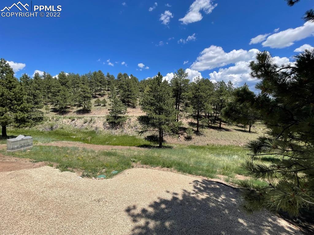 188 Keepsake Loop Westcliffe, CO 81252 - Photo 10 of 37 a view of a park with large trees