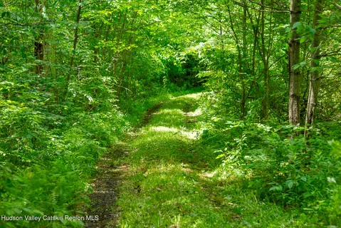 $765,000 | 1260 West Peakes Brook Road, Delhi, NY 13753