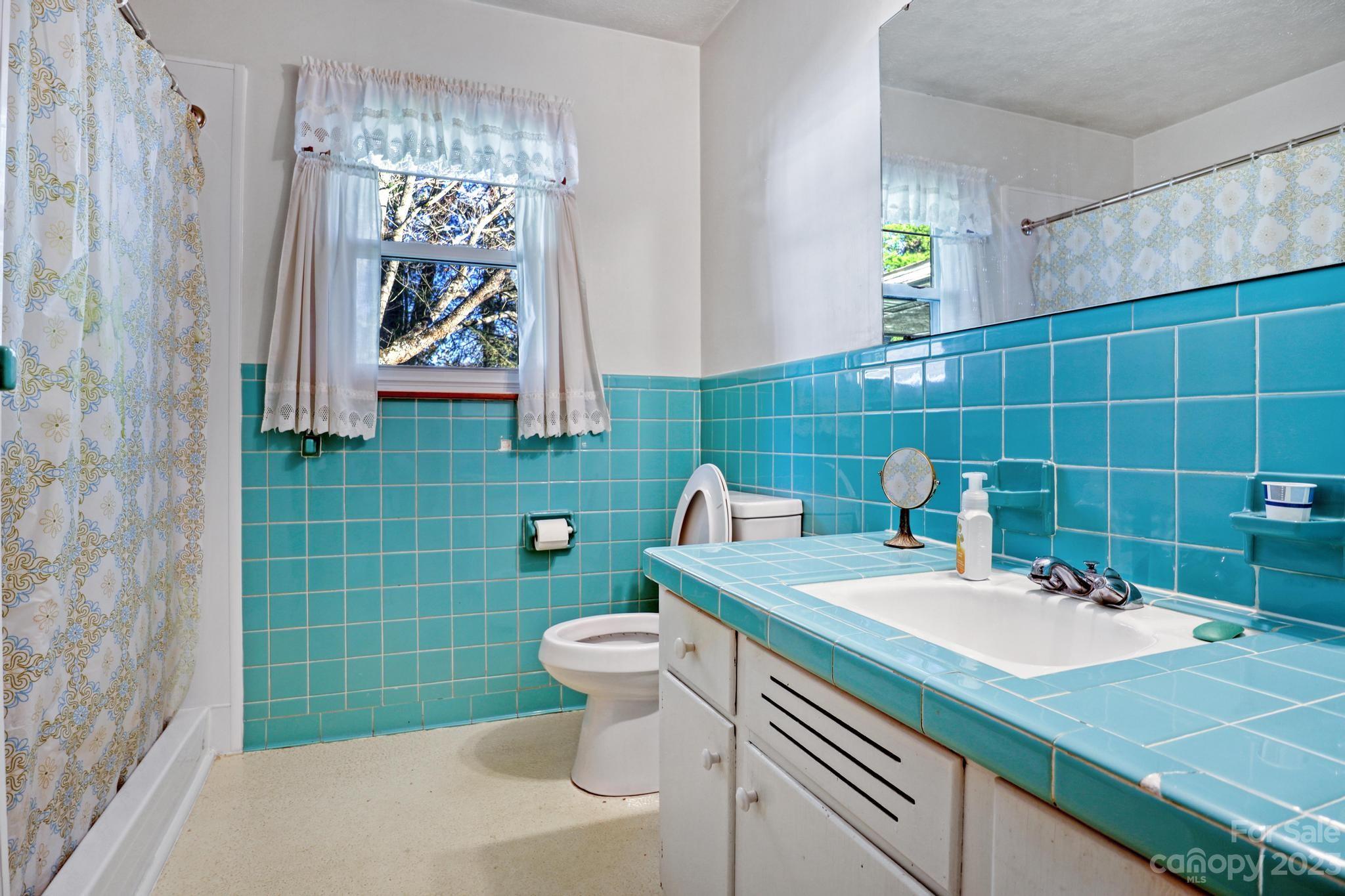 56 Thompson Cove Road, Unit 8 Clyde, NC 28721 - Photo 14 of 21 a bathroom with a sink a toilet and mirror