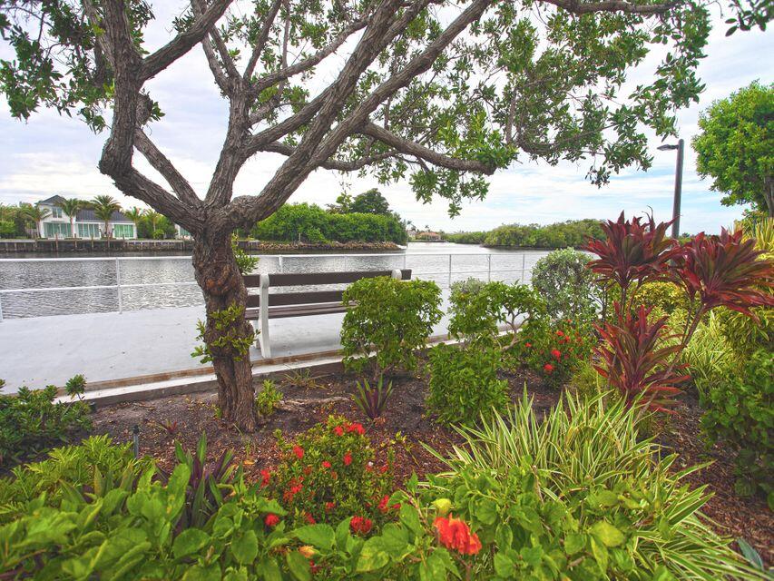 340 Horizon West, Unit 203 Boynton Beach, FL 33435 - Photo 36 of 45 a view of lake with a tree
