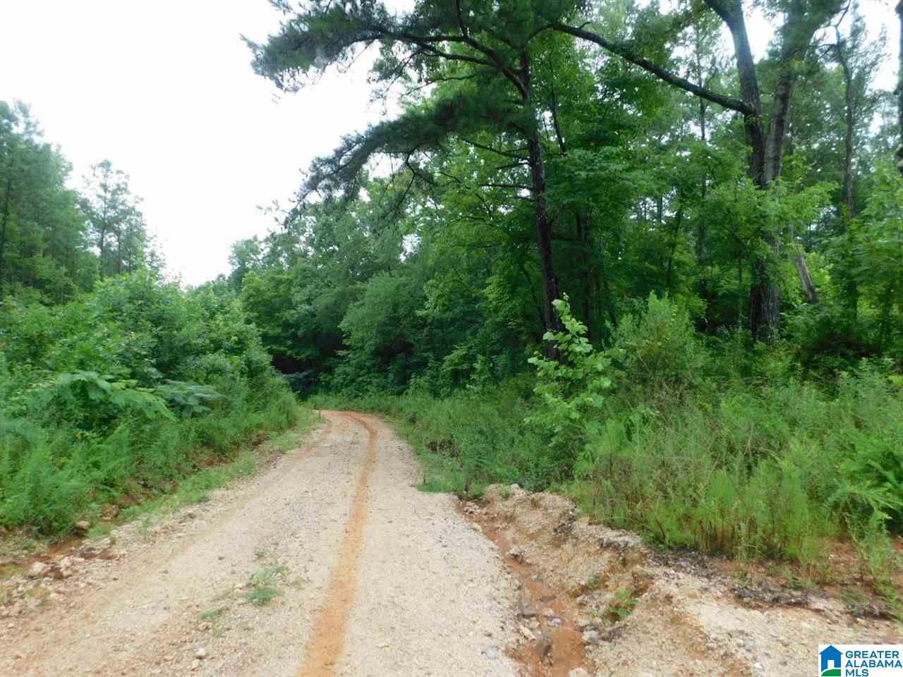 0 Rock Bridge Road, Unit 8 Gallant, AL 35972 - Photo 3 of 4