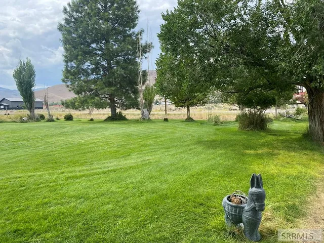 $596,000 | 24707 Highway 93, Challis, ID 83226