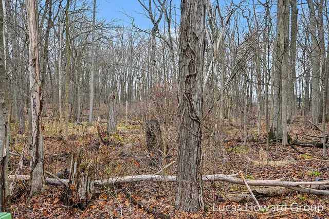 $800,000 | Vl East T U Avenue, Vicksburg, MI 49097