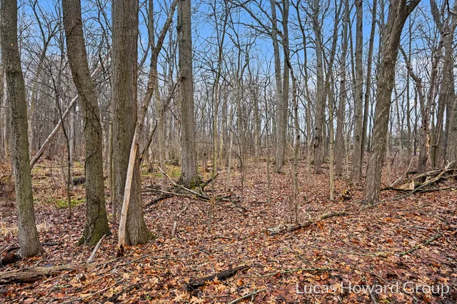 $800,000 | Vl East T U Avenue, Vicksburg, MI 49097