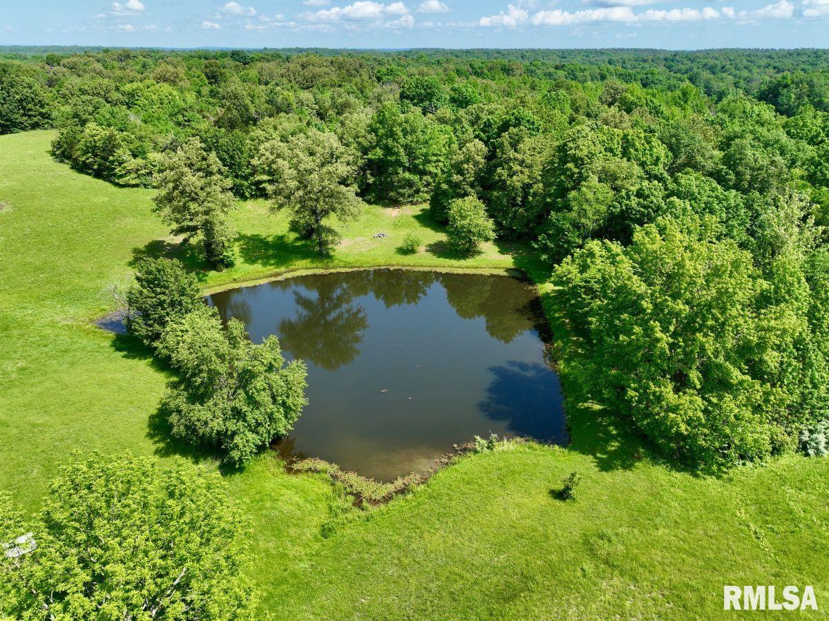 0 Midway Road Golconda, IL 62938 - Photo 1 of 25 Gallery Image 1