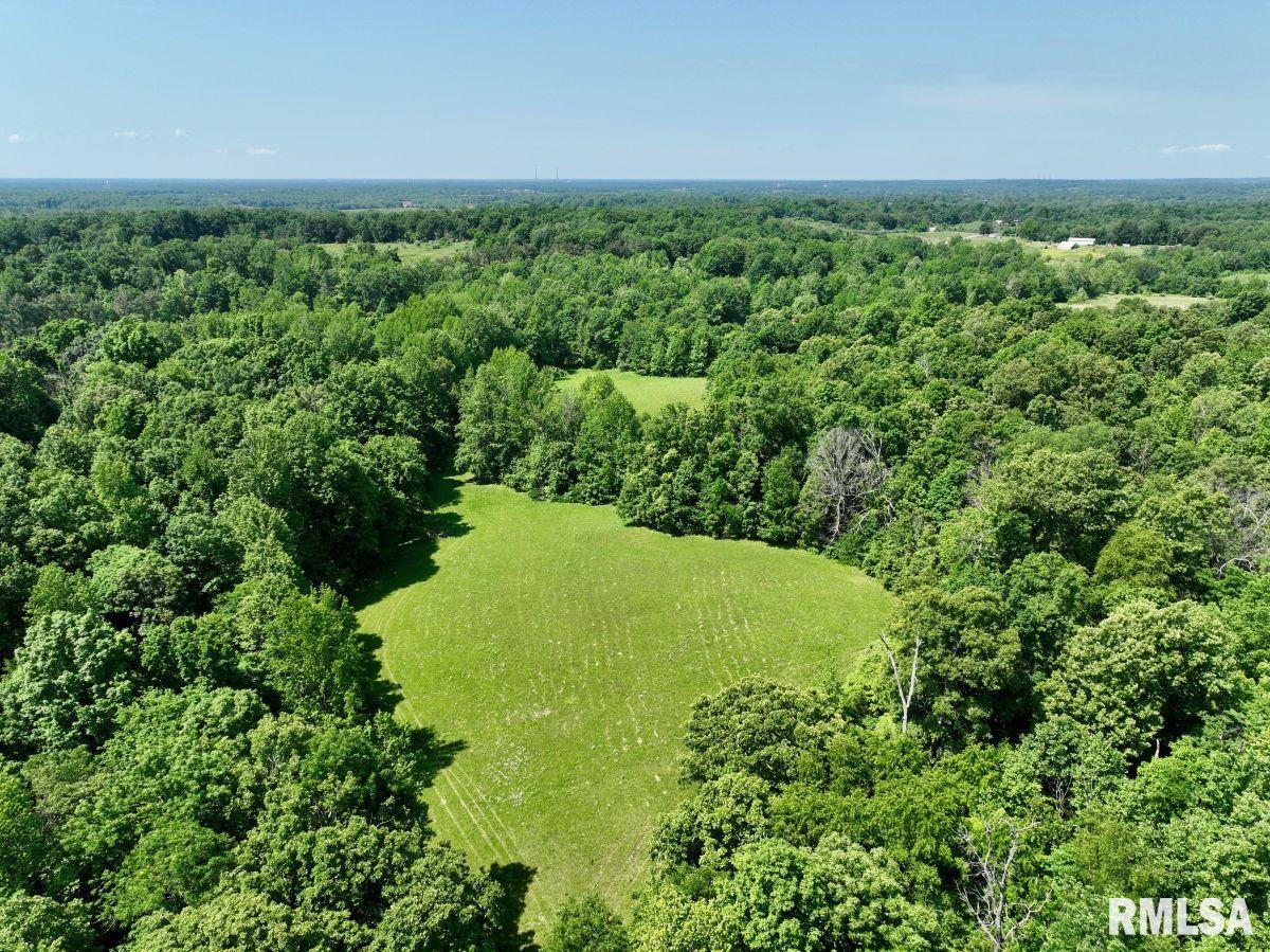0 Midway Road Golconda, IL 62938 - Photo 17 of 25 Gallery Image 17