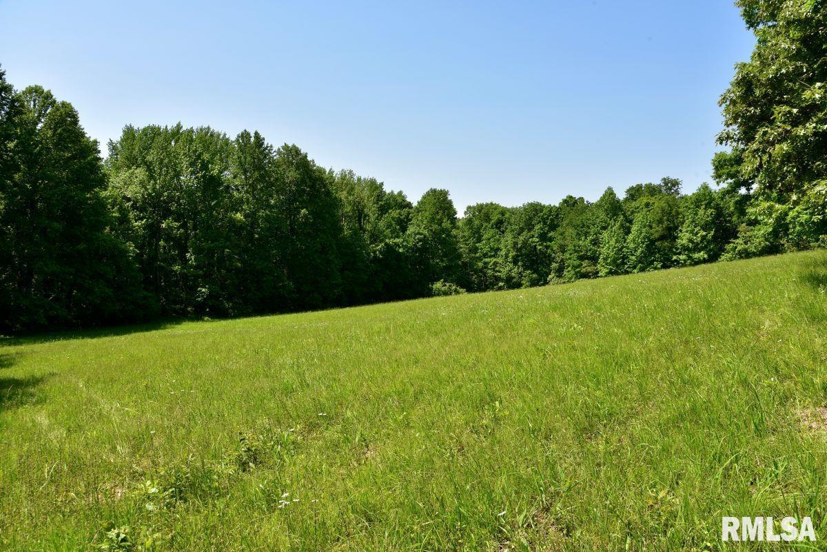 0 Midway Road Golconda, IL 62938 - Photo 20 of 25 Gallery Image 20